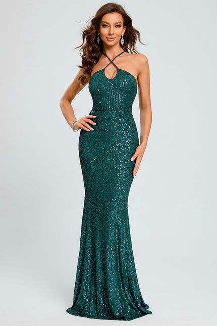 Robe Chic Pailletée Longue
